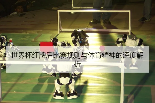 世界杯红牌后比赛规则与体育精神的深度解析